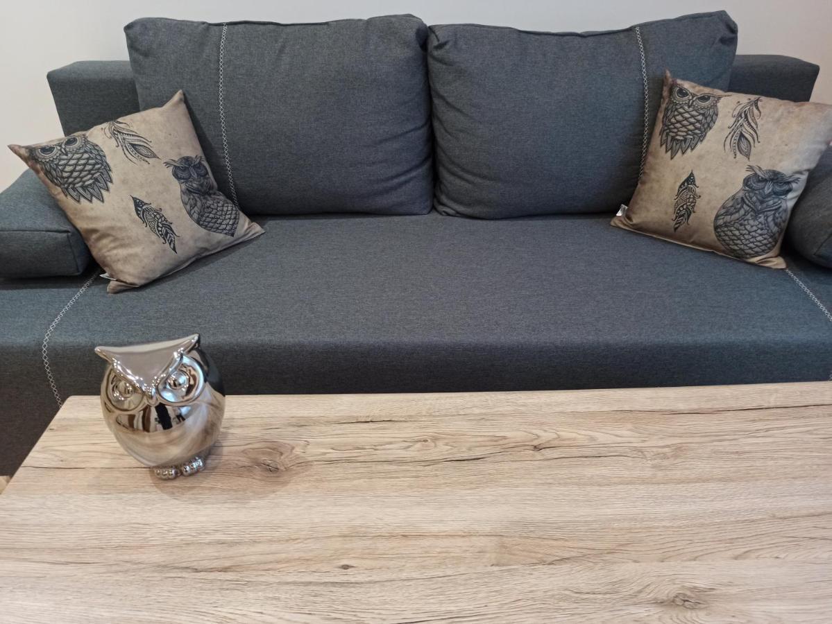 Apartament Sówka Świdnica Zewnętrze zdjęcie